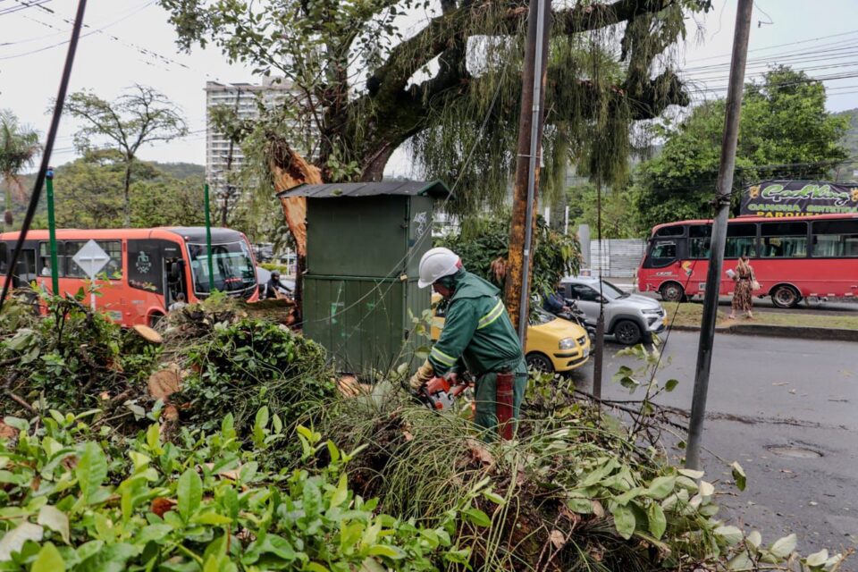 WhatsApp Image 2025 09 30 at 9.12.03 AM 1