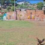 WhatsApp Image 2025 10 07 at 8.00.11 AM