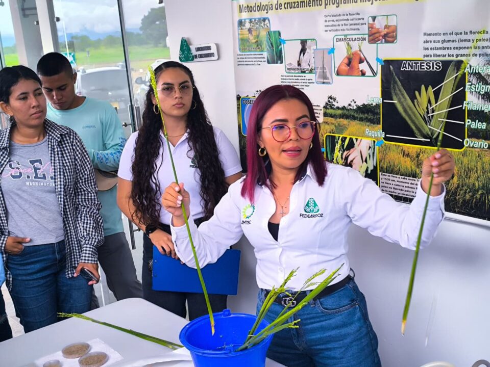 WhatsApp Image 2025 11 25 at 5.06.59 AM