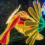 WhatsApp Image 2025 12 22 at 8.16.06 AM