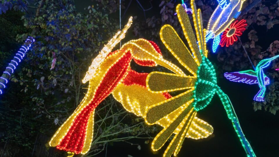 WhatsApp Image 2025 12 22 at 8.16.06 AM