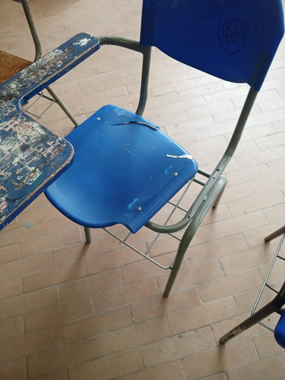 WhatsApp Image 2026 02 12 at 7.16.47 PM