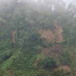 WhatsApp Image 2026 02 25 at 11.17.46 AM