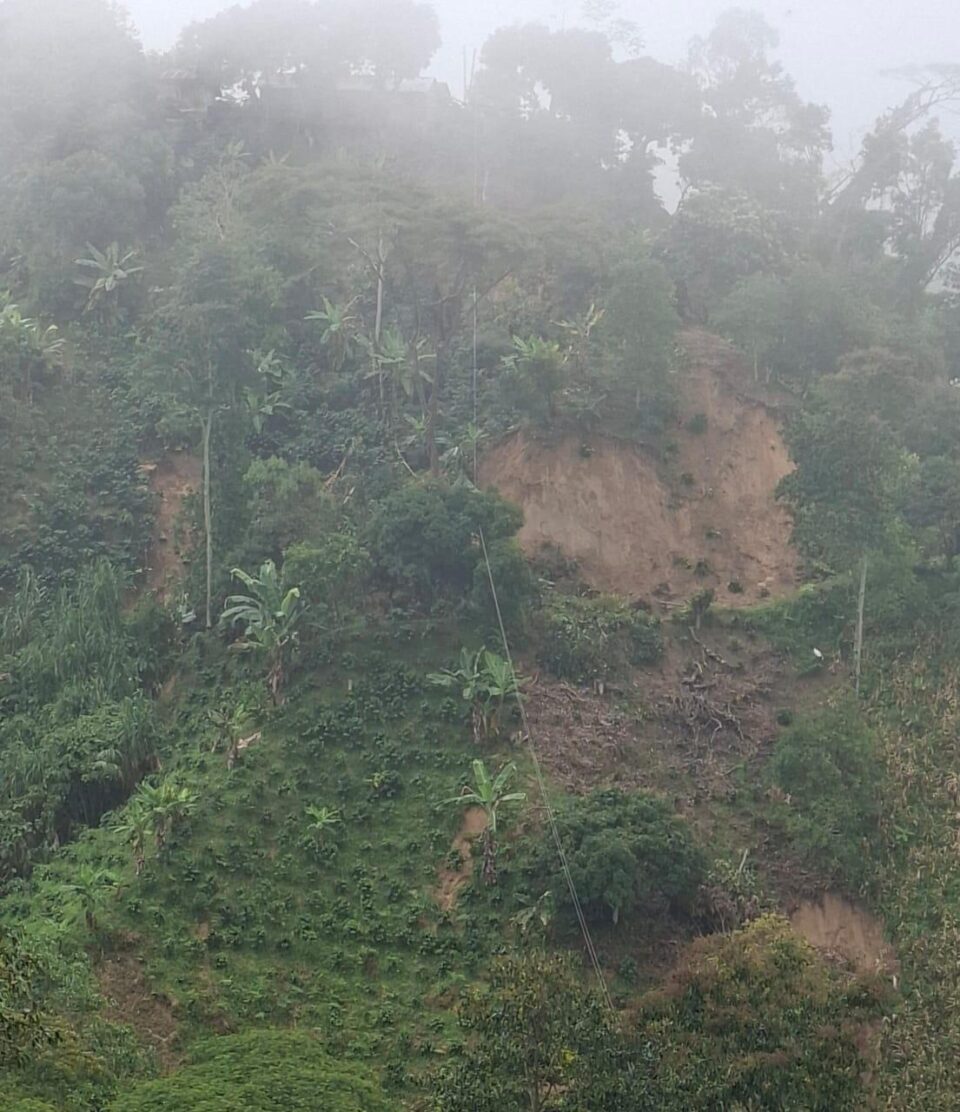 WhatsApp Image 2026 02 25 at 11.17.46 AM