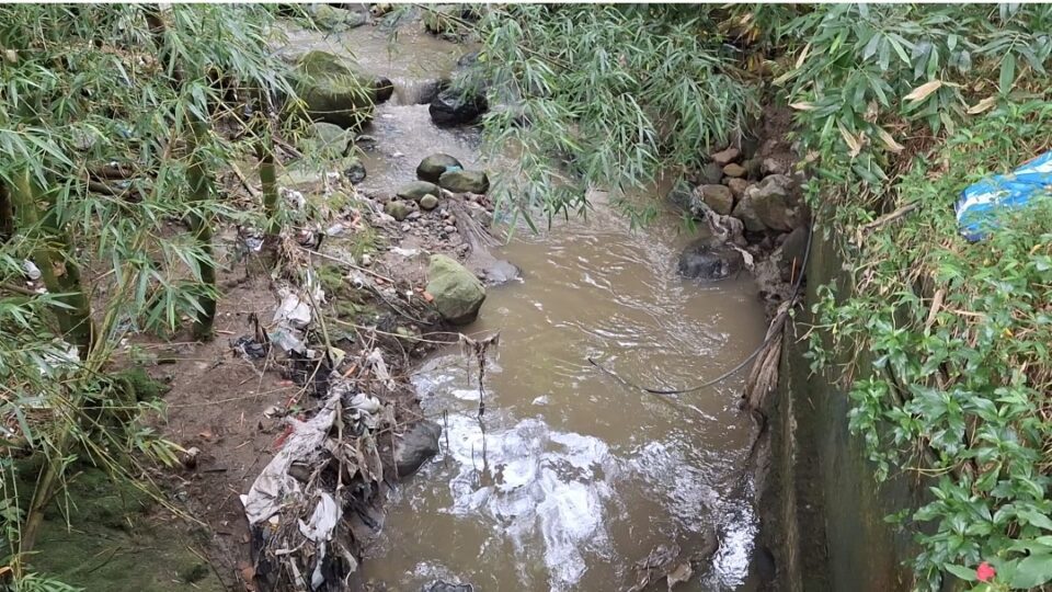 Screenshot 20250418 095011 Gallery 960x540 1