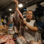 WhatsApp Image 2026 03 30 at 9.11.38 AM