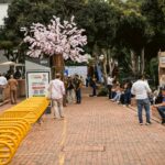 679143471 1405846828253624 2741879226867508230 n