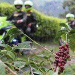 PLAN COSECHA 2024 MAS CERCA DEL CAMPO