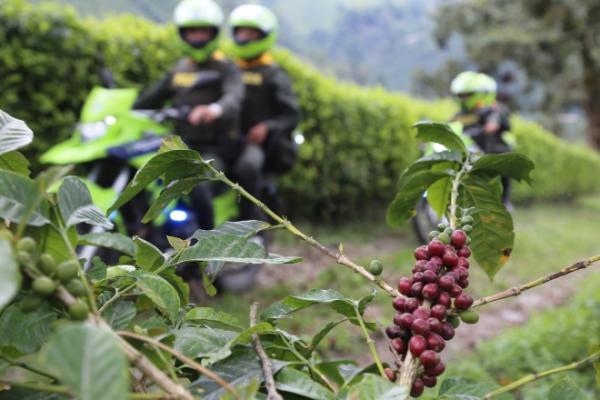 PLAN COSECHA 2024 MAS CERCA DEL CAMPO