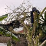 WhatsApp Image 2026 04 06 at 6.50.21 AM