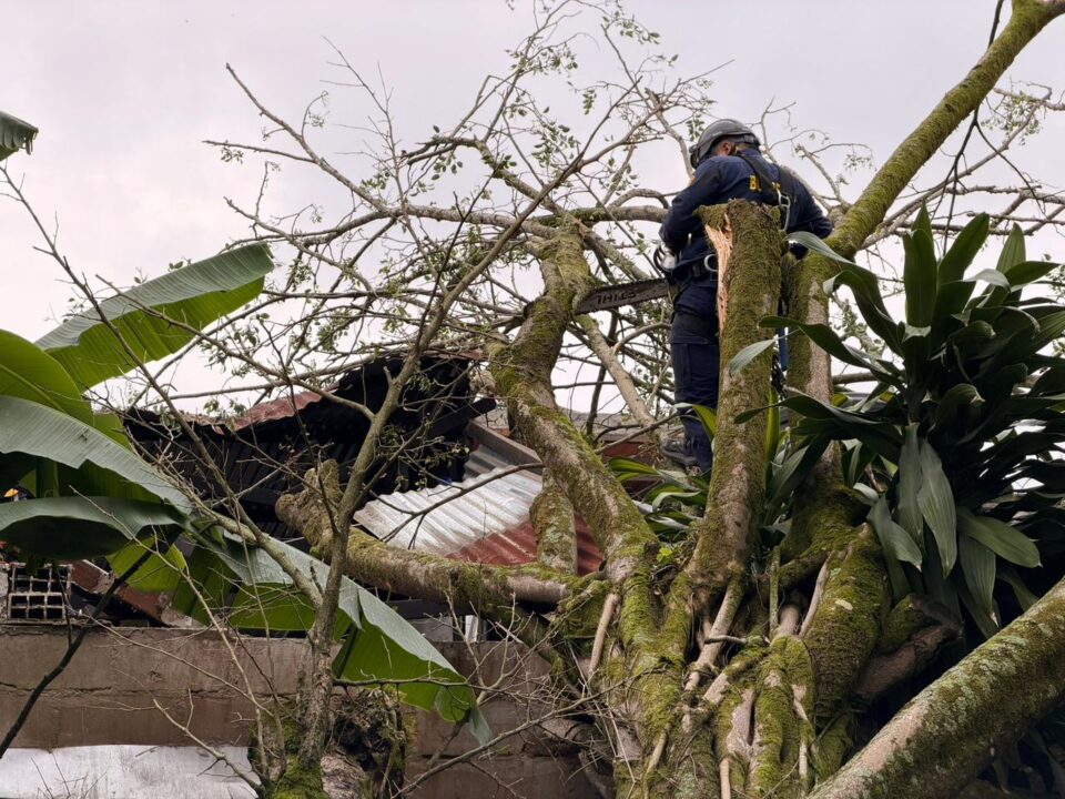 WhatsApp Image 2026 04 06 at 6.50.21 AM