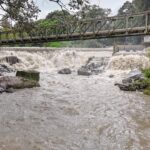 WhatsApp Image 2026 04 09 at 8.22.29 AM