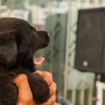 WhatsApp Image 2026 04 22 at 3.52.33 PM