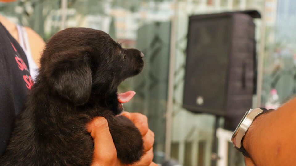 WhatsApp Image 2026 04 22 at 3.52.33 PM