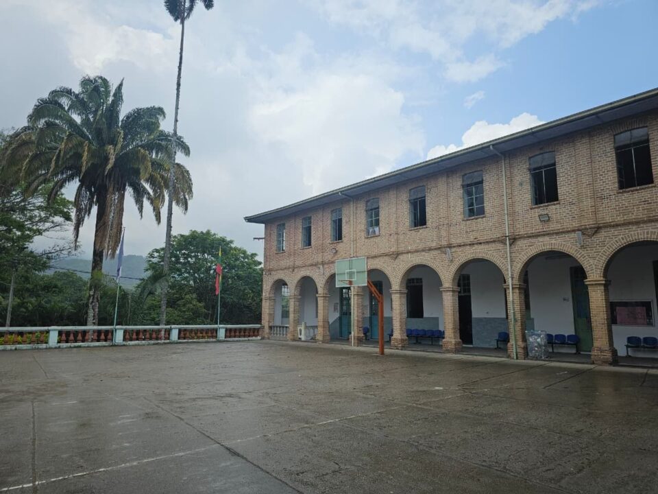 photo 5172729616714632513 y