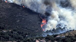 Cada incendio comienza con un descuido: Ibagué pide conciencia para proteger sus bosques y vidas 11 W
