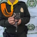 IMG 20260818 WA0111