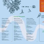 Programacion completa descargable
