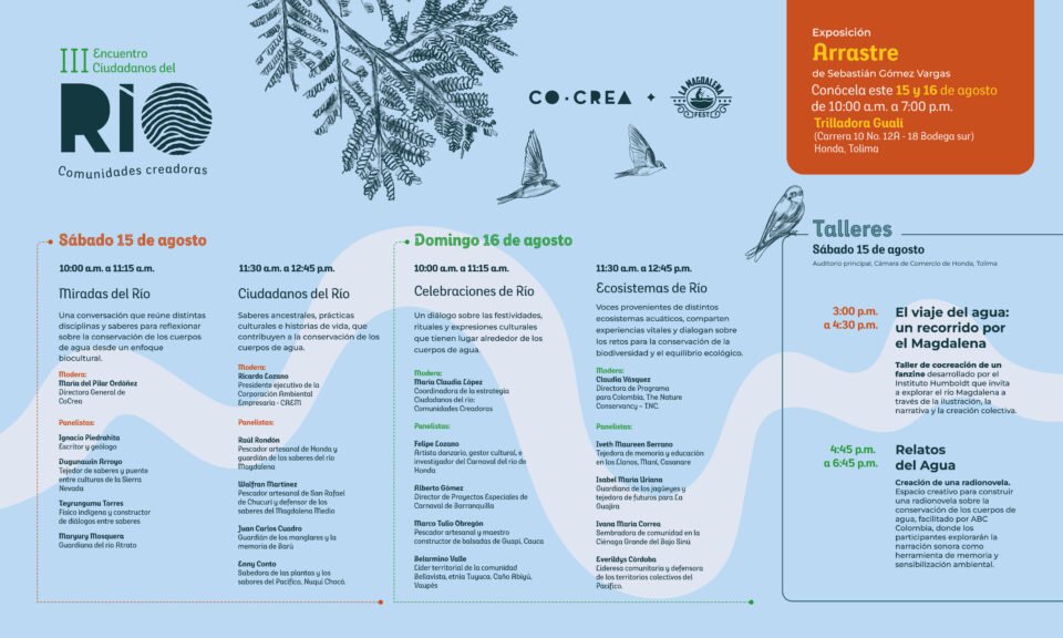 Programacion completa descargable