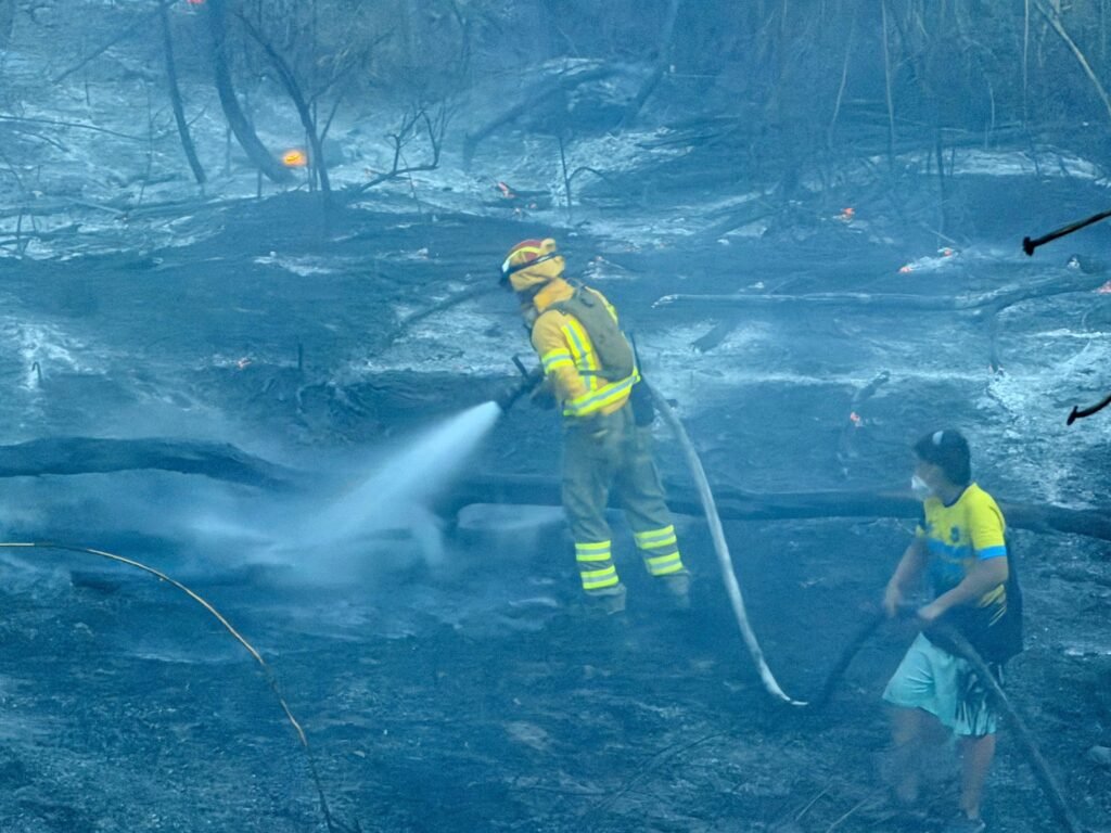 Alcaldía de Ibagué se solidariza con San Luis y apoya la atención de incendios forestales 12 photo 2026 08 12 12 43 27