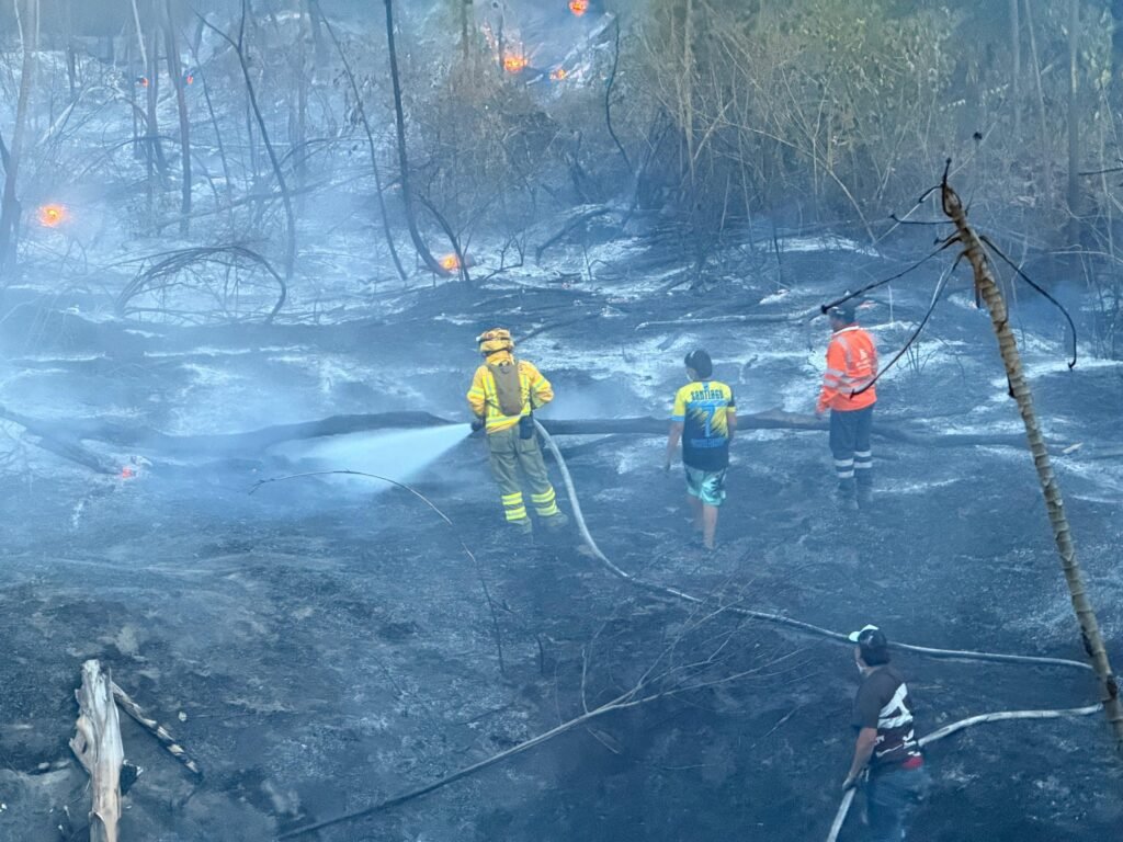 Alcaldía de Ibagué se solidariza con San Luis y apoya la atención de incendios forestales 13 photo 2026 08 12 12 43 29