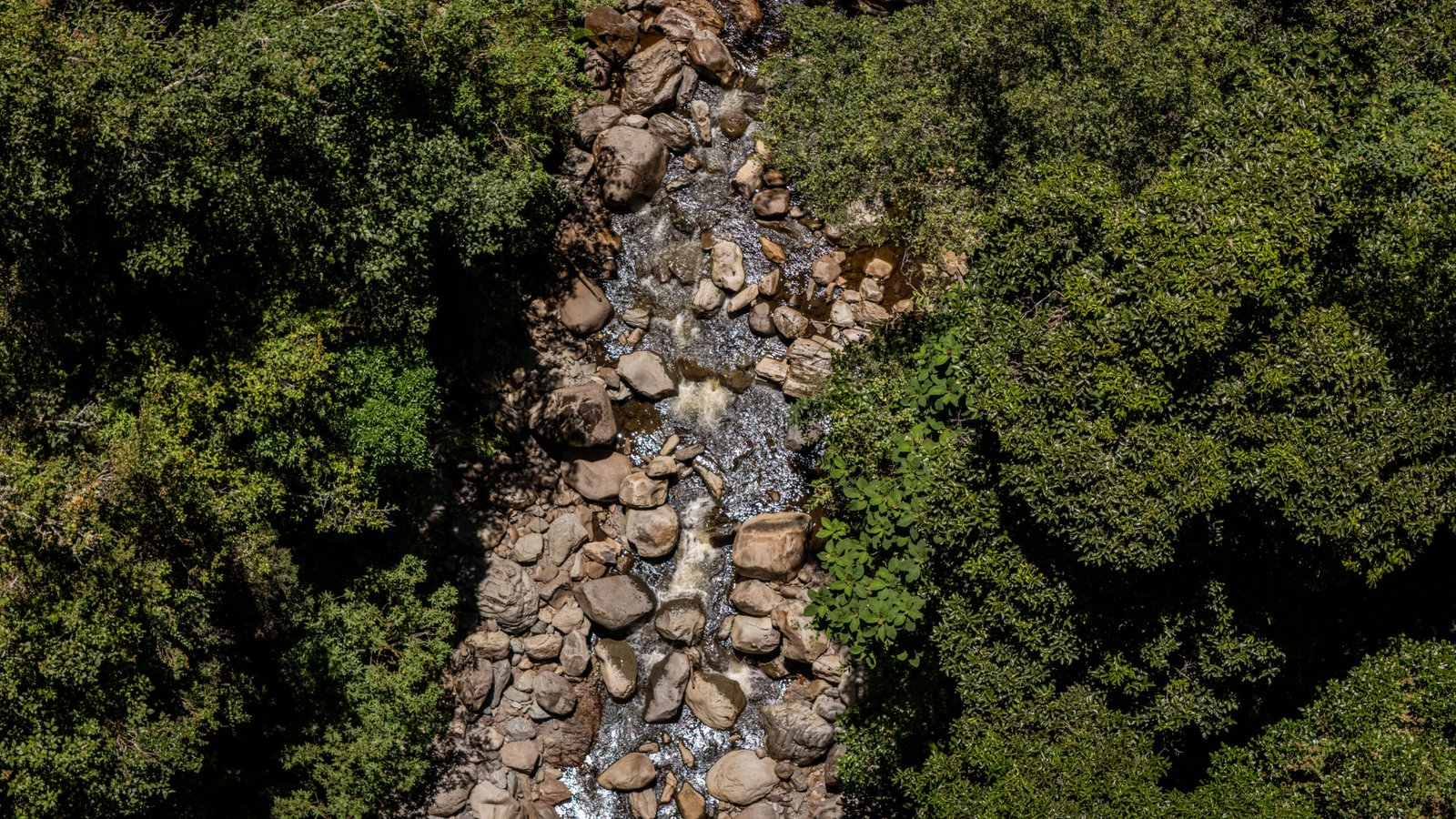 Agua, riego y atención al campo: así avanzan los primeros 30 días de gestión de la ADR 11 IMG 6846 scaled